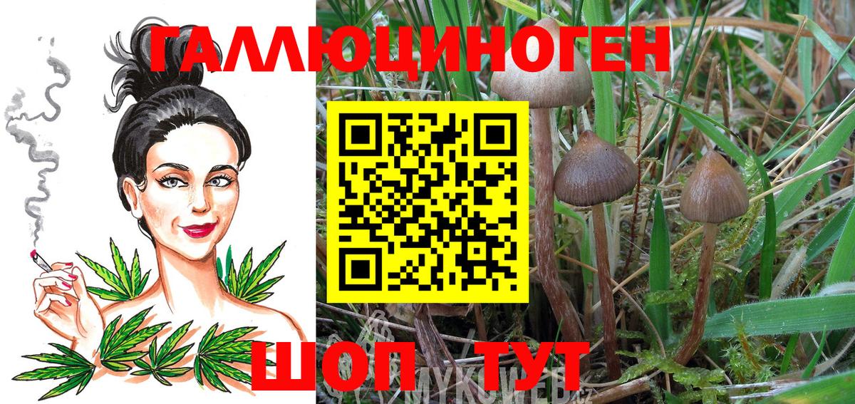 что такое наркотик  Псилоцибиновые грибы GOLDEN TEACHER  Богородск  Вход с VPN  Галлюциногенные грибы мухоморы 